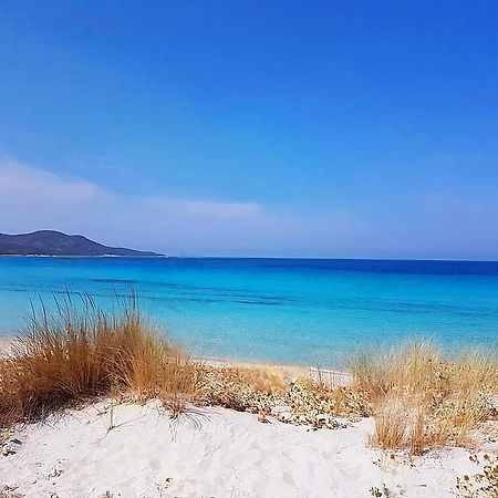 Appartement Vue Sur Mer Santa-Maria-di-Lota Dış mekan fotoğraf