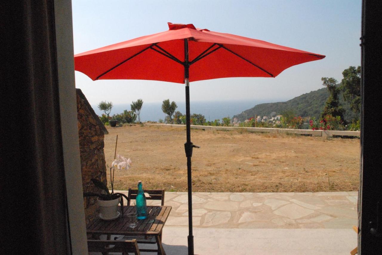 Appartement Vue Sur Mer Santa-Maria-di-Lota Dış mekan fotoğraf