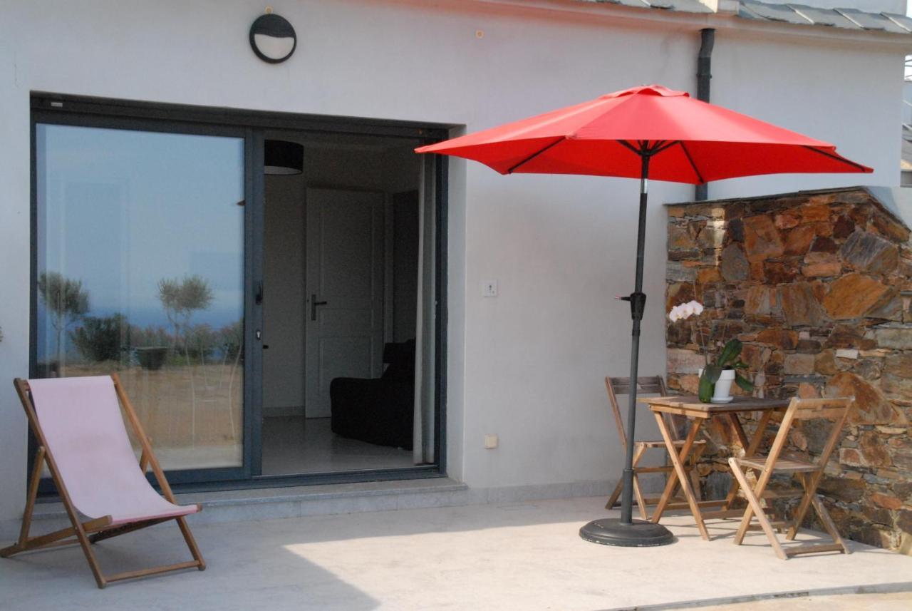 Appartement Vue Sur Mer Santa-Maria-di-Lota Dış mekan fotoğraf