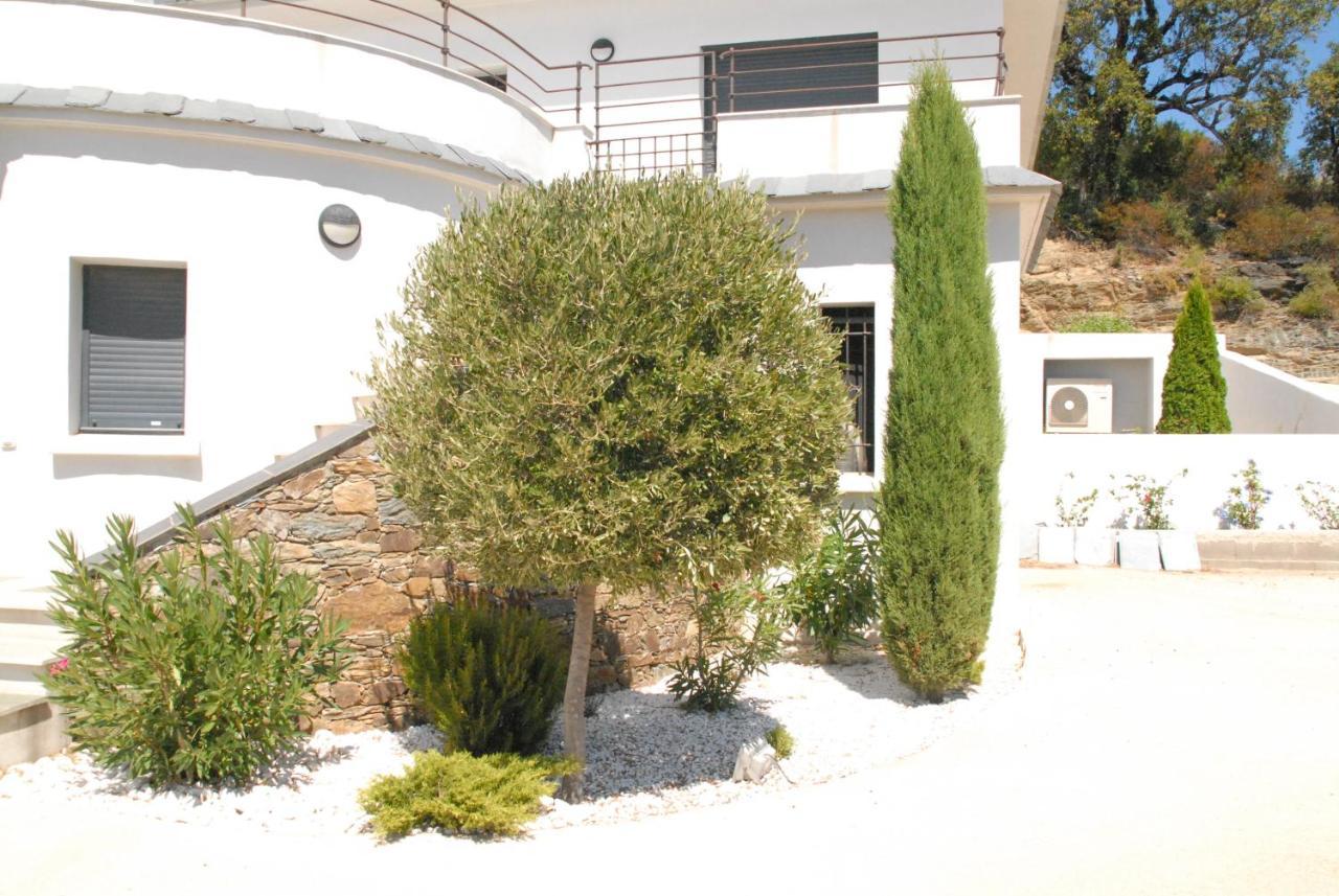 Appartement Vue Sur Mer Santa-Maria-di-Lota Dış mekan fotoğraf
