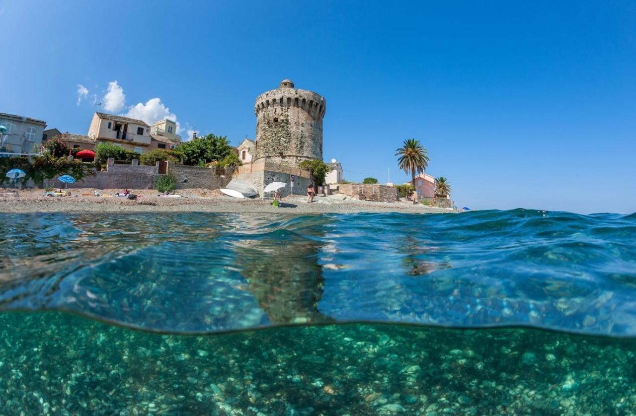 Appartement Vue Sur Mer Santa-Maria-di-Lota Dış mekan fotoğraf