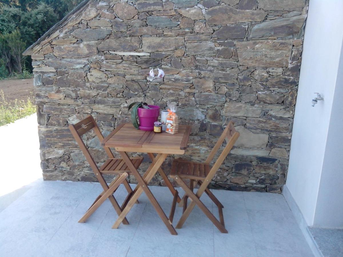 Appartement Vue Sur Mer Santa-Maria-di-Lota Dış mekan fotoğraf