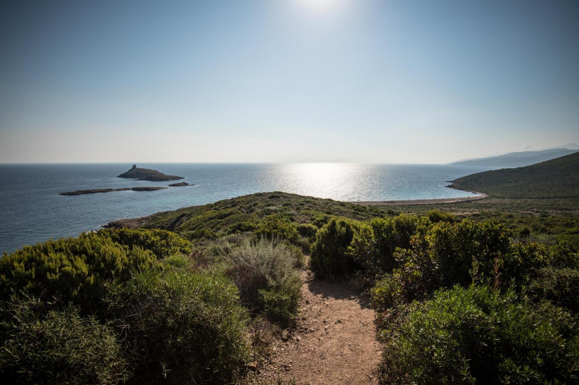 Appartement Vue Sur Mer Santa-Maria-di-Lota Dış mekan fotoğraf