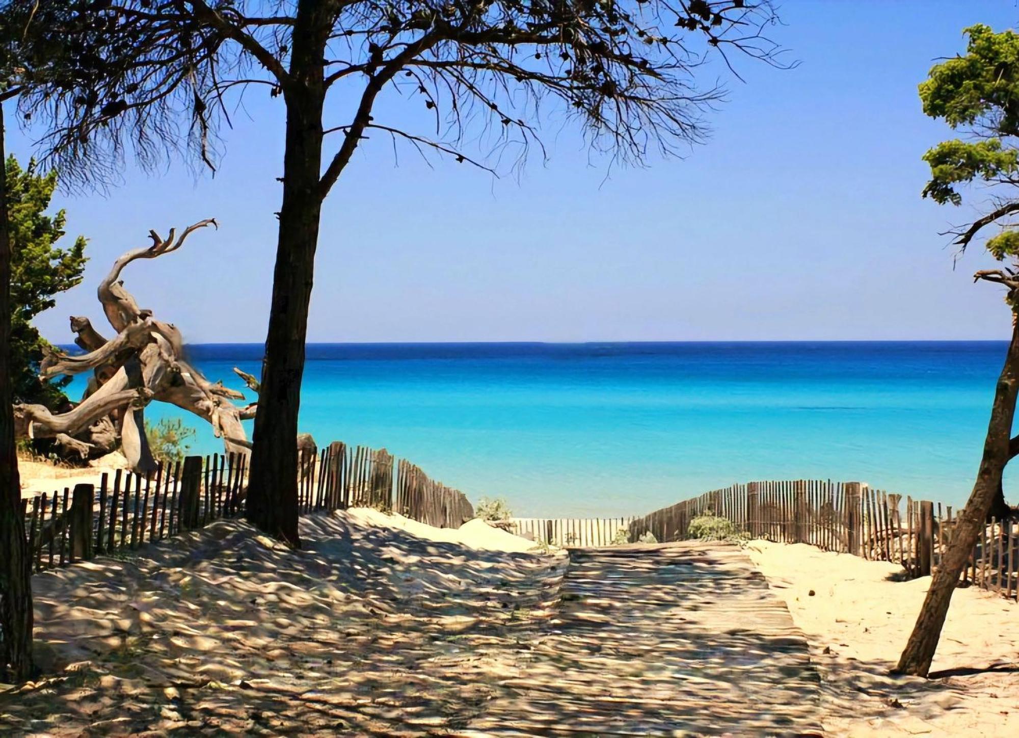Appartement Vue Sur Mer Santa-Maria-di-Lota Dış mekan fotoğraf