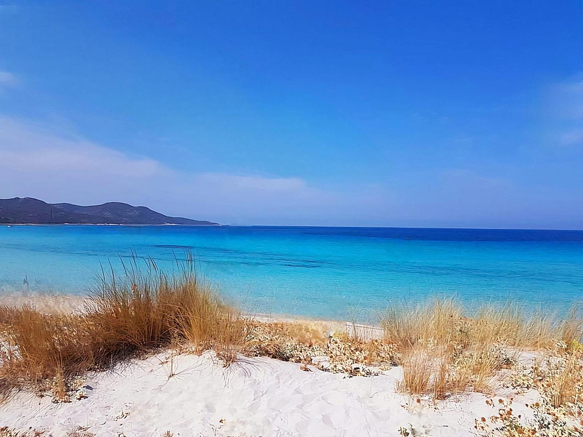 Appartement Vue Sur Mer Santa-Maria-di-Lota Dış mekan fotoğraf