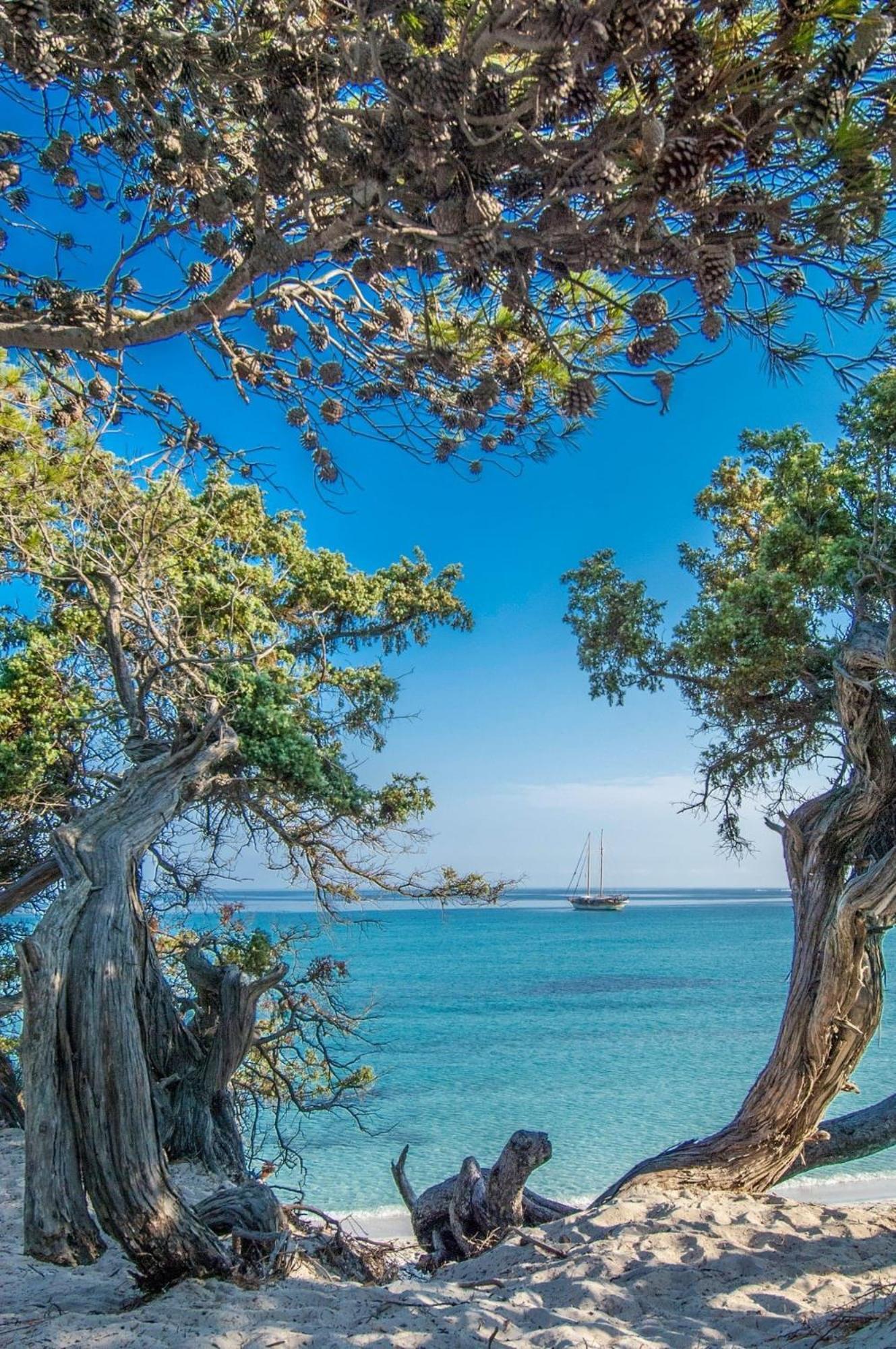 Appartement Vue Sur Mer Santa-Maria-di-Lota Dış mekan fotoğraf